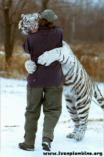 L'amicizia tra l'uomo e l'animale!