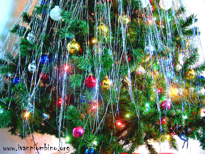 L'albero del Piombino di Natale